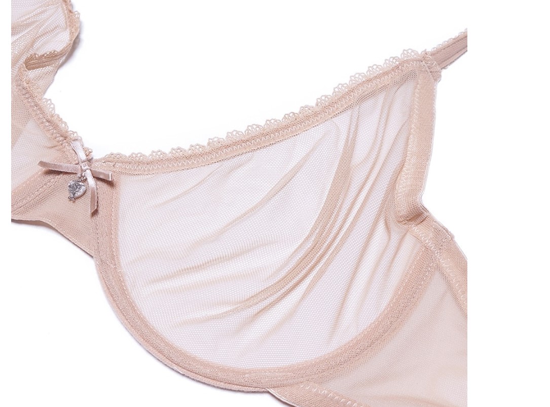 Women's Sheer Bra and Thong 2 Pcs Set